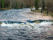 First week of the season on the Drowes – 1 springer lost Salmon fishing on the River Drowes