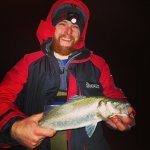 Bass