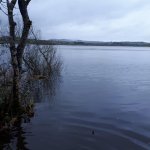 Lough Muckno