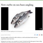 Gorey Guardian 060118