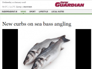 New curbs on sea bass angling, Gorey Guardian New curbs on sea bass angling