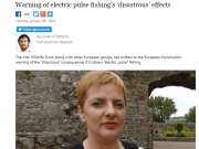Warning of electric pulse fishing’s ‘disastrous’ effects, Irish Examiner Warning of electric pulse fishing’s ‘disastrous’ effects