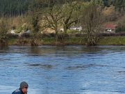 Salmon fishing on the Munster Blackwater