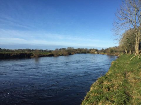 Munster Blackwater
