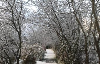 Irish Angling Update – 15 February 2018 Toomans