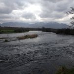 Johnson's Fishery at 1.75m.