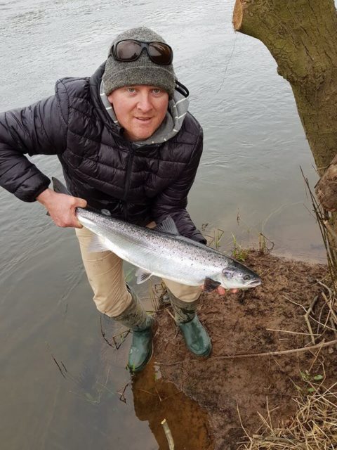 salmon