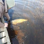 Catch and Release