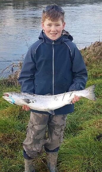 spring salmon