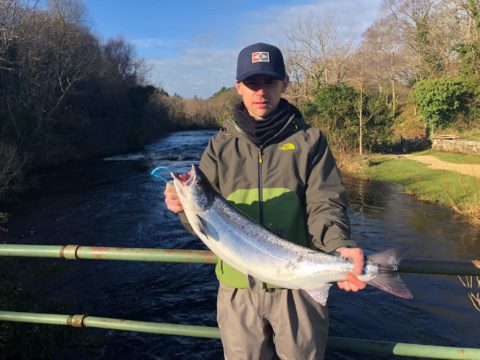 River Drowes salmon