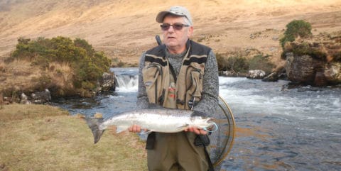 salmon