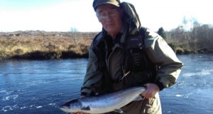 Spring salmon
