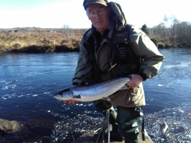 Spring salmon