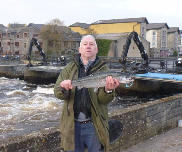 Noel Maloney