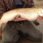 Pat and his 21lb 10oz catch
