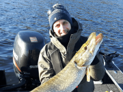 Big pike being met on Lough Derg Lough Derg pike