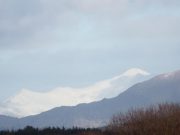 Another springer from Butler's Pool as Currane anglers wait for their first Snow capped mountain