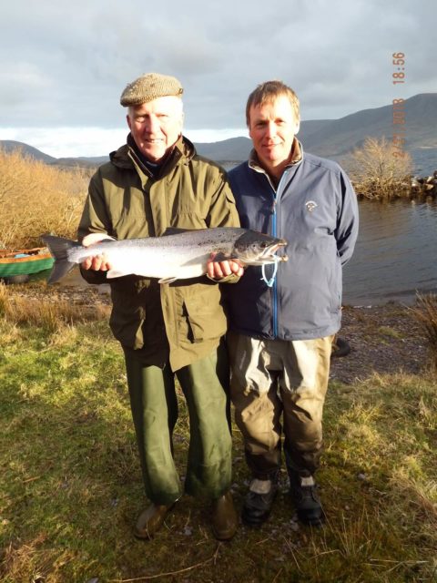 salmon