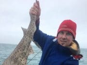 Bullhuss, herring, coalies and pollack for Courtmac anglers Bullhuss