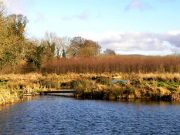 Lures fished deep work for Rathcon rainbows in bitter cold Rathcon - lake view