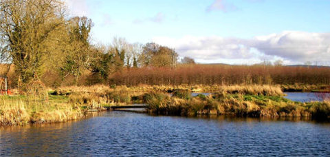 Rathcon - lake view