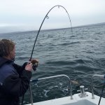 Bend in the rod