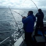 playing fish
