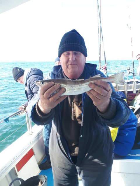Whiting