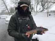 Liffey opens for trout with snowy scenes Brown trout