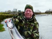 Divine spring salmon from the Feale spring salmon