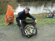 Good bags of dace in Waterways Ireland Open at St. Mullins