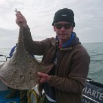 Thornback ray