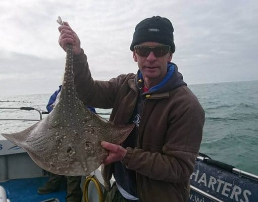 Good thornbacks and spurdogs for Wicklow Boat Charters Thornback ray