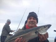 Pollack, coalies and ling for charter boat anglers off Clare coast coalie