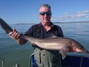Spurdogs back for Wicklow Boat Charters Spurdog
