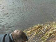 Sun shines on the Munster Blackwater and salmon caught