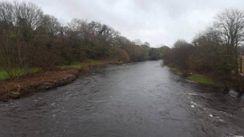 River Bandon