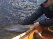 Lough Beltra gets its first salmon of the year