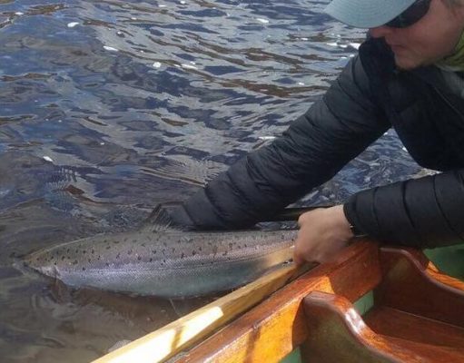 Lough Beltra gets its first salmon of the year