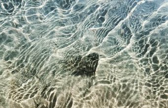 Irish Angling Update – 29 March 2017 Donegal bay flounder