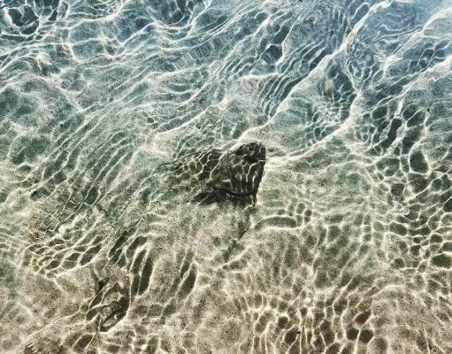 Irish Angling Update – 29 March 2017 Donegal bay flounder
