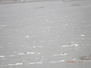 March starts well on Currane but cold, wet and windy since Lough Currane