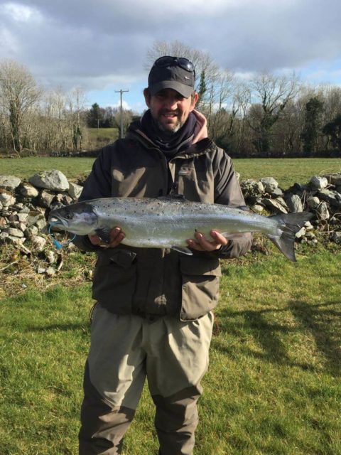 spring salmon