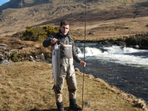 Spring Salmon