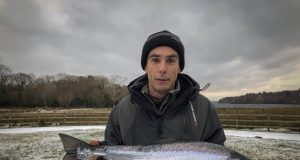 salmon