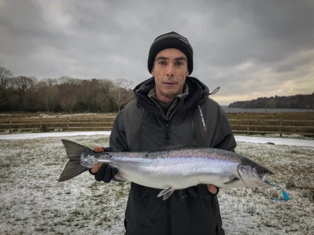 salmon