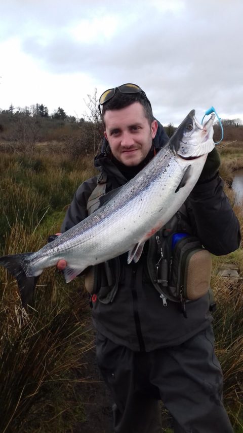 salmon