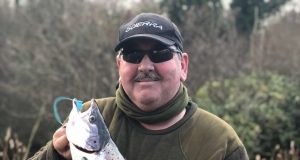 spring salmon
