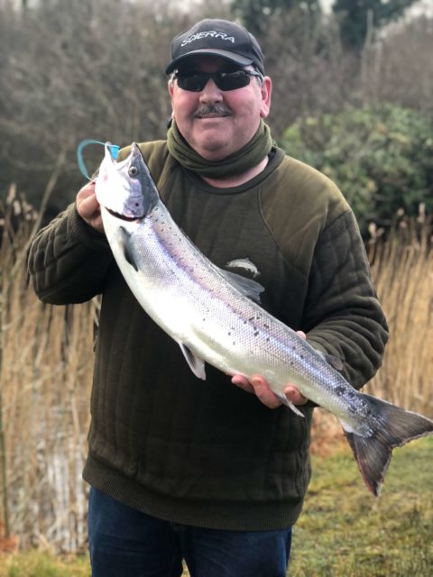spring salmon