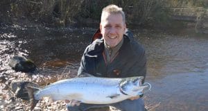 spring salmon